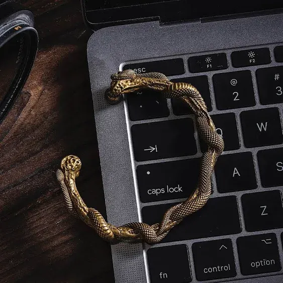 Gnoce Brass Double Snake Men Bracelet Jewelry Gift