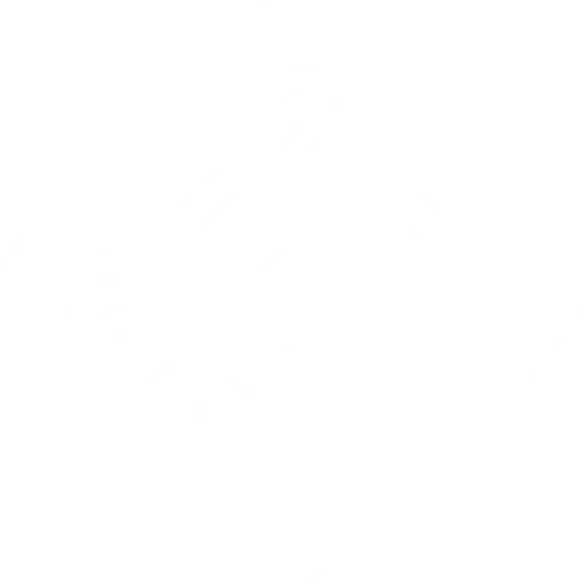 Seb117