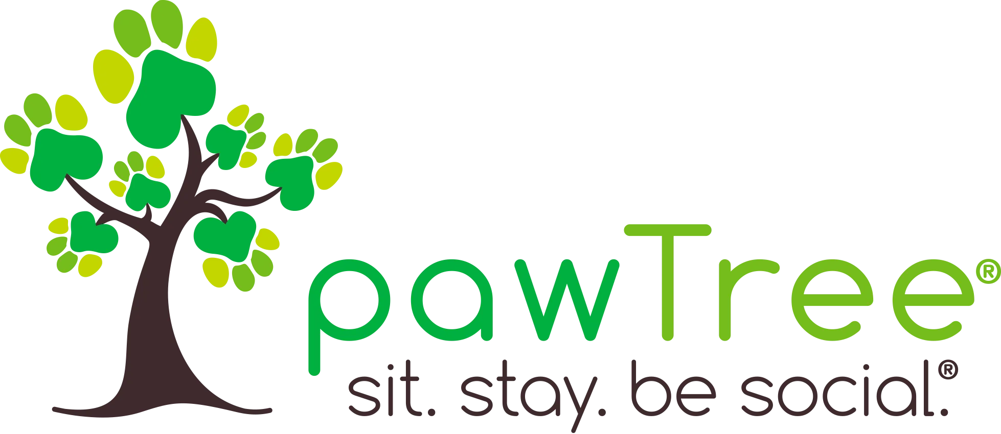 Pawtree Dog Food Discount Code