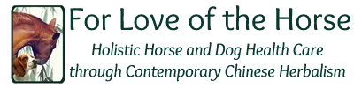 For Love Of The Horse