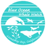 Blue Ocean Whale Watch