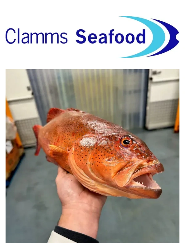 Clamms Seafood