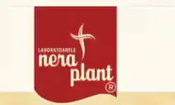 Nera Plant