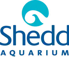 Shedd Aquarium Discount Code