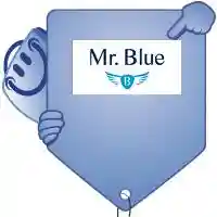 cupom de desconto Mr. Blue