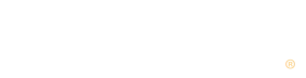 DriveSafe Online