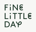 Fine Little Day
